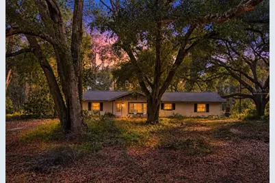 1988 SE 161st Avenue, Ocklawaha, FL 32179 - Photo 1