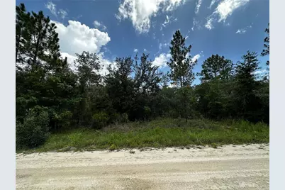 12930 NE 15th Street, Williston, FL 32696 - Photo 1