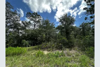 12930 NE 15th Street, Williston, FL 32696 - Photo 4