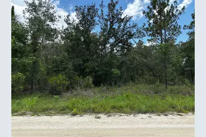 12930 NE 15th Street, Williston, FL 32696 - Photo 8