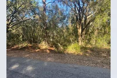 Guava Terrace, Ocklawaha, FL 32179 - Photo 2