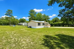 13817 NE 54 Pl, Williston, FL 32696 - Photo 4