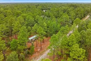 10890 SE 133rd Ave, Dunnellon, FL 34431 - Photo 2