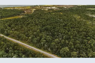 Lots 8,9,15 00 Adams Beach Road, Perry, FL 32348 - Photo 4