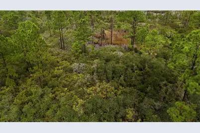 Lots 8,9,15 00 Adams Beach Road, Perry, FL 32348 - Photo 8