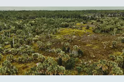 00 Lots 18,19 Adams Beach Road, Perry, FL 32348 - Photo 16