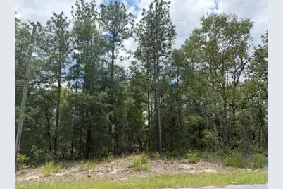 1982 W Roseboro Drive, Dunnellon, FL 34434 - Photo 2