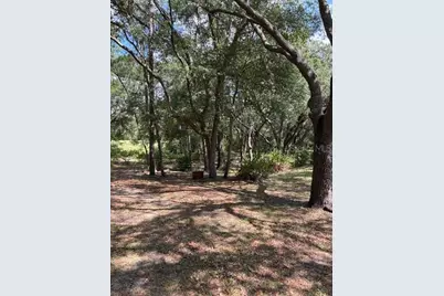 9273 SW 197th Cir, Dunnellon, FL 34432 - Photo 8