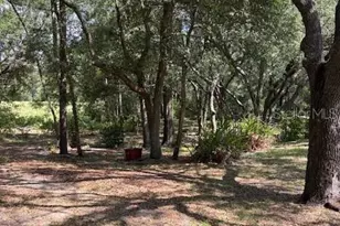 9273 SW 197th Cir, Dunnellon, FL 34432 - Photo 8