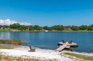 10522 SE 146th Terrace Rd, Ocklawaha, FL 32179 - Photo 6