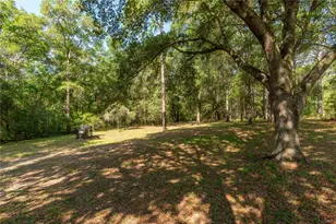5200 SW 199th Ct, Dunnellon, FL 34431 - Photo 40
