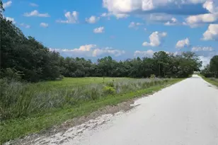 11751 SE 57 St, Morriston, FL 32668 - Photo 1