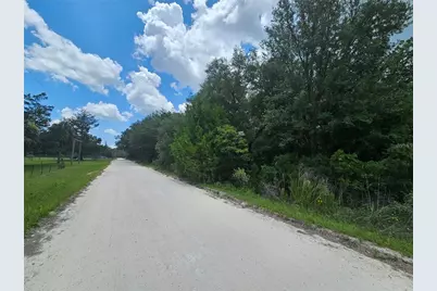 11751 SE 57th Street, Morriston, FL 32668 - Photo 4