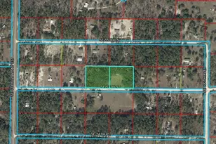 11751 SE 57 St, Morriston, FL 32668 - Photo 1