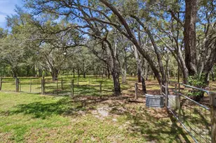 7298 S Rama Ave, Lecanto, FL 34461 - Photo 46