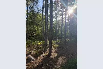 2005 Cr 243E, Wildwood, FL 34785 - Photo 8