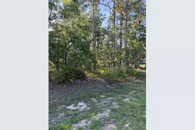 2005 Cr 243E, Wildwood, FL 34785 - Photo 6