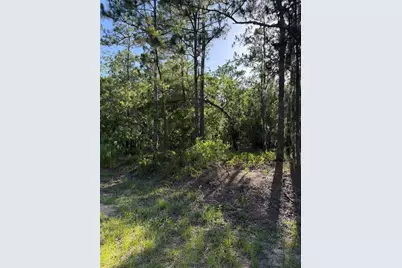 2005 Cr 243E, Wildwood, FL 34785 - Photo 4