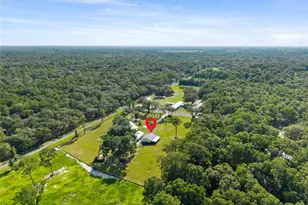 12450 NW 85th Ave, Chiefland, FL 32626 - Photo 46