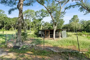 12450 NW 85th Ave, Chiefland, FL 32626 - Photo 50