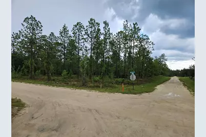 231 SE 146th Terrace, Williston, FL 32696 - Photo 2