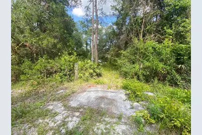 13701 NE 66th Avenue, Citra, FL 32113 - Photo 2