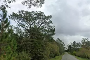 978 Joiner Rd, Chipley, FL 32428 - Photo 1