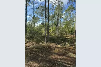 Tbd, Frostproof, FL 33843 - Photo 2