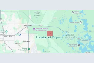 Ne Hwy 314 Highway NE, Silver Springs, FL 34488 - Photo 10