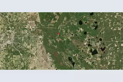 Ne Hwy 314 Highway NE, Silver Springs, FL 34488 - Photo 6