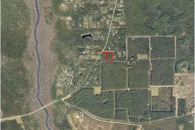 Ne Hwy 314 Highway NE, Silver Springs, FL 34488 - Photo 4