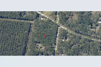 Ne Hwy 314 Highway NE, Silver Springs, FL 34488 - Photo 8
