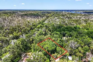 4626 S Flambeau Loop, Homosassa, FL 34448 - Photo 1