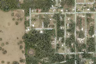 14585 NE 149th Ln, Fort Mc Coy, FL 32134 - Photo 28