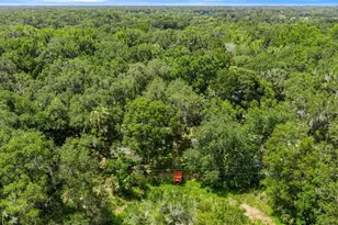 3424 NE 162nd St, Citra, FL 32113 - Photo 30