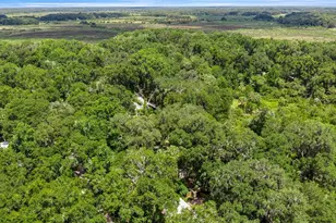 3424 NE 162nd St, Citra, FL 32113 - Photo 32