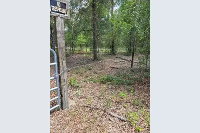 8355 N Orton Way, Dunnellon, FL 34434 - Photo 10