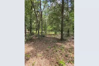 8355 N Orton Way, Dunnellon, FL 34434 - Photo 8