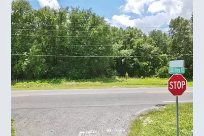 Se Hwy 42, Weirsdale, FL 32195 - Photo 6