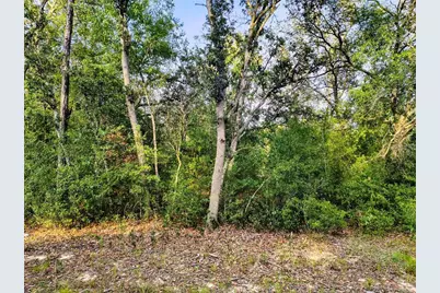 8821 NE 97th Court, Bronson, FL 32621 - Photo 1