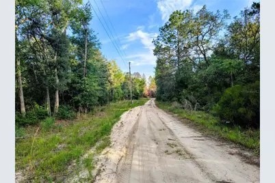 8821 NE 97th Court, Bronson, FL 32621 - Photo 4