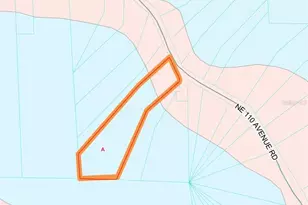 14120 NE 110th Avenue Rd, Fort Mc Coy, FL 32134 - Photo 4
