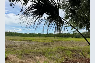 14120 NE 110th Avenue Road, Fort Mc Coy, FL 32134 - Photo 2