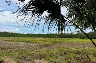 14120 NE 110th Avenue Rd, Fort Mc Coy, FL 32134 - Photo 2