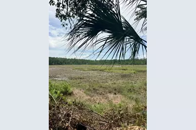 14120 NE 110th Avenue Road, Fort Mc Coy, FL 32134 - Photo 20
