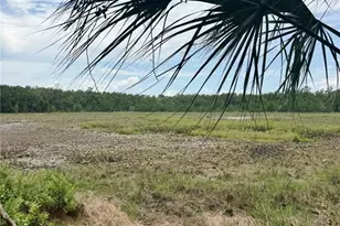 14120 NE 110th Avenue Rd, Fort Mc Coy, FL 32134 - Photo 20