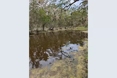 0 SE Bee Tree Rd, Gulf Hammock, FL 32639 - Photo 2