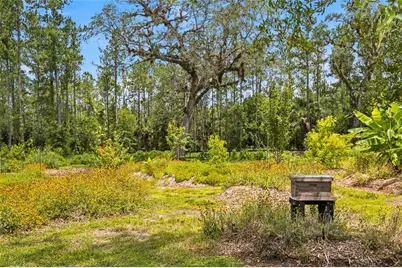 10080 SE 1st Street Road, Silver Springs, FL 34488 - Photo 44