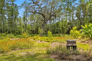 10080 SE 1st Street Rd, Silver Springs, FL 34488 - Photo 44