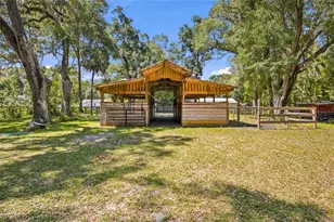 14000 NE 47th Ave, Anthony, FL 32617 - Photo 4